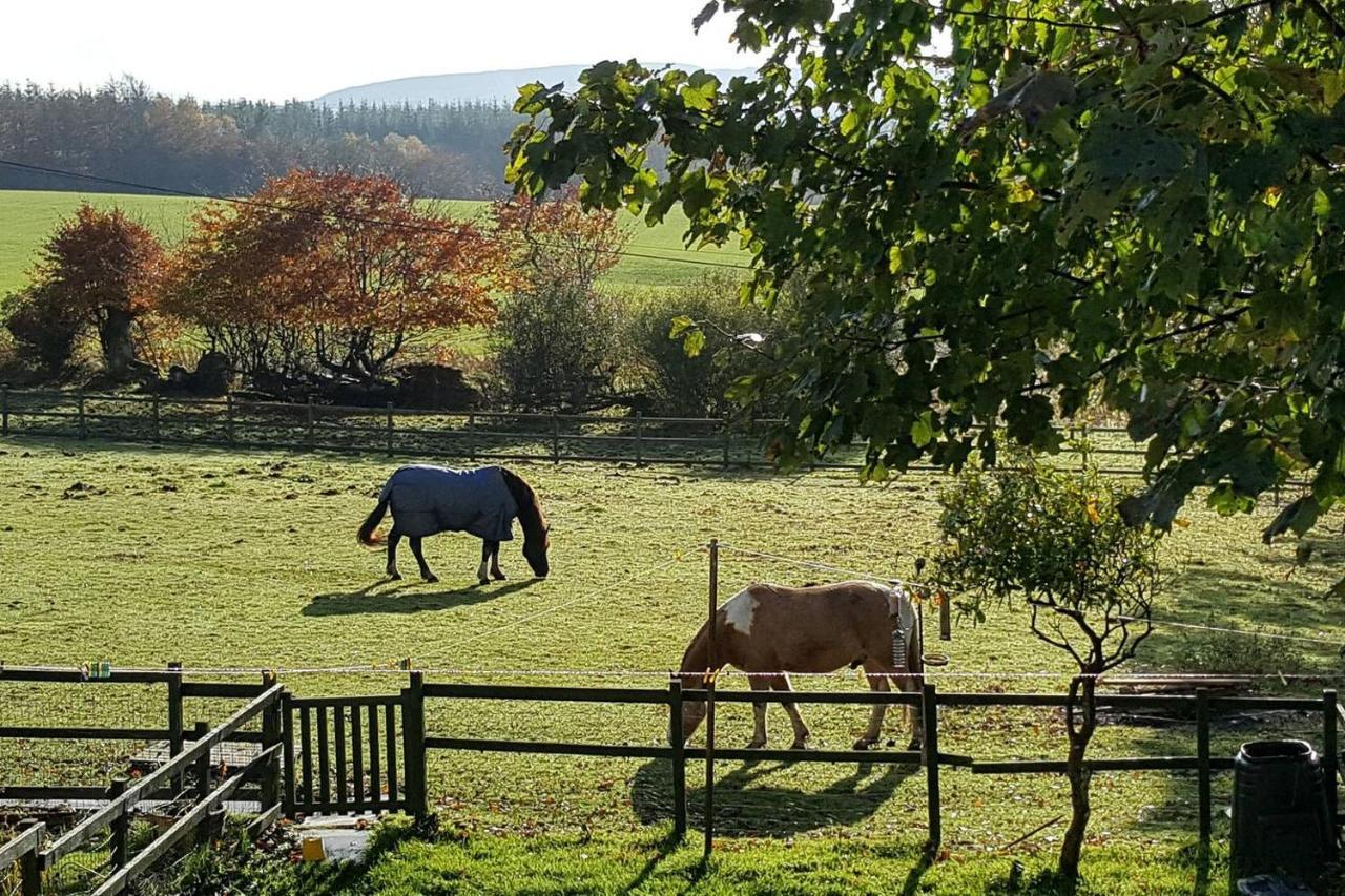 Stuc An T Sagairt Cottage , Loch Lomond ドライメン エクステリア 写真